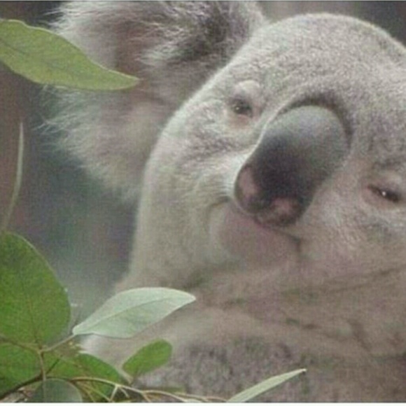 Meet your Posher, Ck - Picture 1 of 1